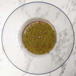 Soaking the Mung Beans