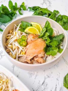 Pho Ga Instant Pot Diagonal View, Chicken Pho Instant Pot